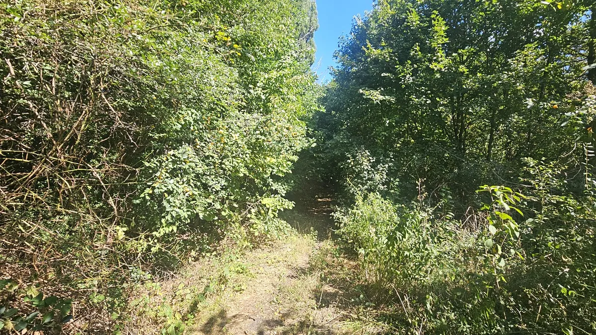 Fotka 10 z 17
